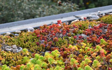 the cost of Redmire green roof installation