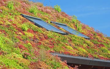 Redmire living roof systems